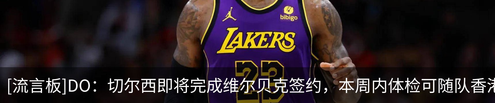 新闻动态
